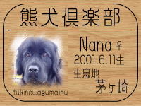 �i�i�}�}����̂g�o�ւf�n�I